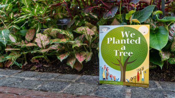 the book We Planted a Tree sits in front of plants