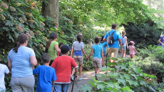 a group of students walking through a wooded trail