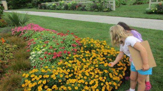 Two children bend over to inspect a bed of yellow flowers in an outdoor garden