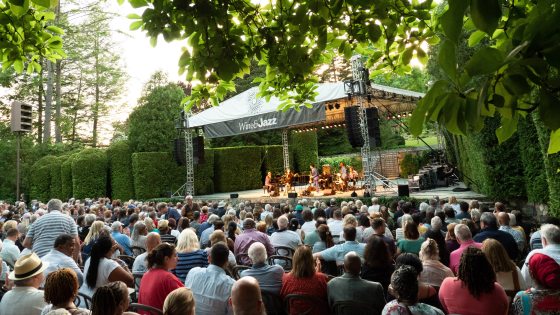 an audience watches musicians playing on an outdoor stage amid green trees