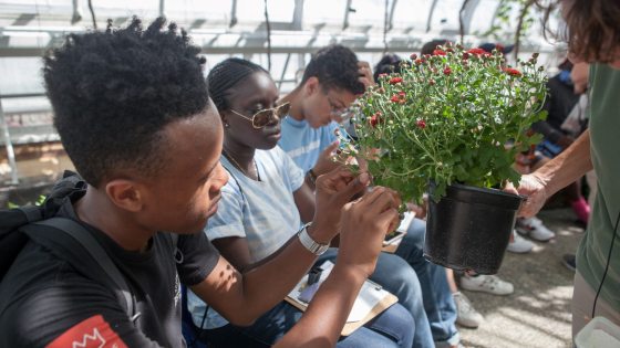 High school students examine a potted red chrysanthemum plant in a greenhouse