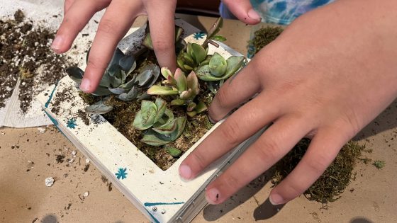 Youthful hands arrange small succulents in a hand-painted square planter.