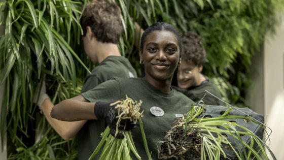 A smiling young adult with dark skin and hair, wearing a dark green t-shirt with the Longwood logo and a volunteer name badge, lifts plants to be placed in a green wall.