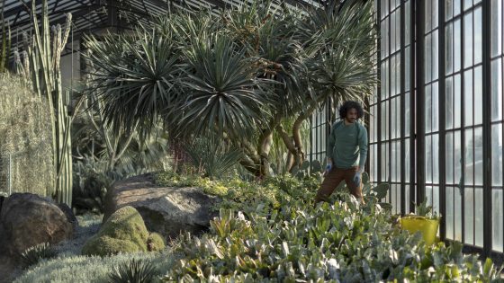A Professional Horticulture student with dark curly hair and beard, wearing a long-sleeved green shirt, brown pants, and blue gardening gloves, holds hand clippers to trim plants in an indoor desert garden, with tall conservatory windows on the right.
