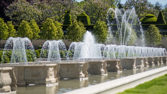 Diagonal view from left front to right rear of a long fountain canal containing a series of octagonal stone fountains with water in basket-weave formation, with a double row of trees in the background, and a glimpse of a topiary garden and blooming paulonia trees beyond.