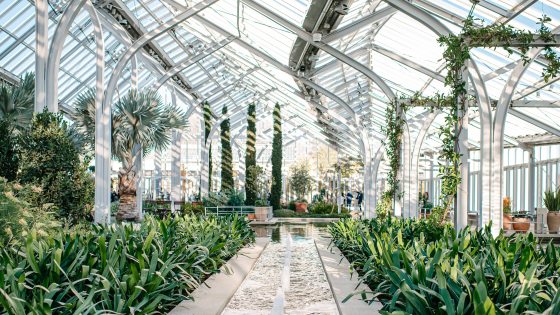 Sun streams through the ceiling and windows of a glass house, creating patterns of light and shadow on the plants and water features inside.