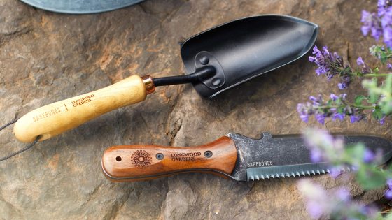 Garden shovels and a metal watering canlaying on the ground next to a garden bed.