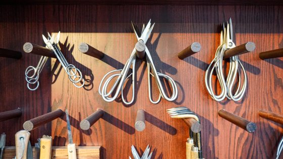 A portion of a dark wall, with pegs, holding plant pruning tools. 