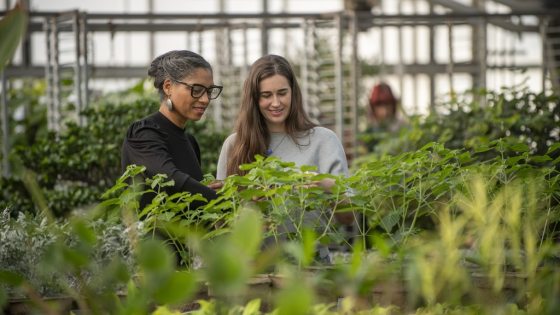 Two people standing in a plant nursery examining a plant.