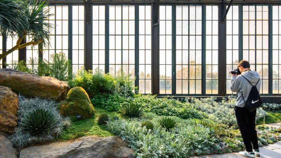 A person in a gray hoodie and black sweatpants points a camera at an indoor garden of silver-green plants against a backdrop of tall glass windows.