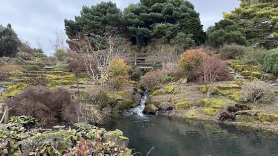A botanical garden featuring a pond in the front right corner, and an early spring landscape surrounding it. 