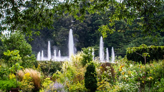 Fountain jets rise behind a summer flower garden.