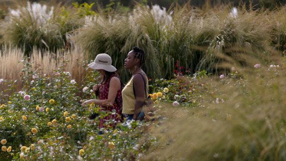 Waist-high in a late summer garden, one guest in a sun hat smiles down at flowers, while another gazes out across the garden.