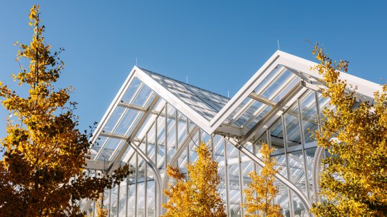 The roof peaks of the West Conservatory, featuring trees with yellow leaves in front. 