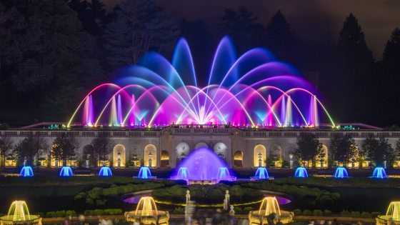 Wide view of illuminated fountain show in shades of blue, pink, and purple.