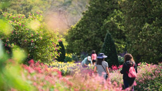 Guests admire flowers in an early autumn garden.