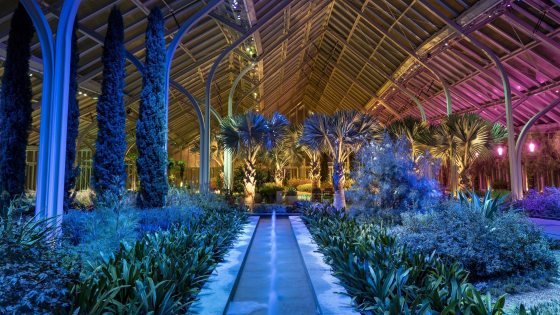 Indoor conservatory with tropical plants and soaring arches, lit with blue, gold, fuchsia.