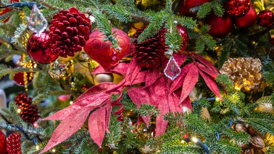 Closeup of red, gold, and crystal Christmas tree decorations.