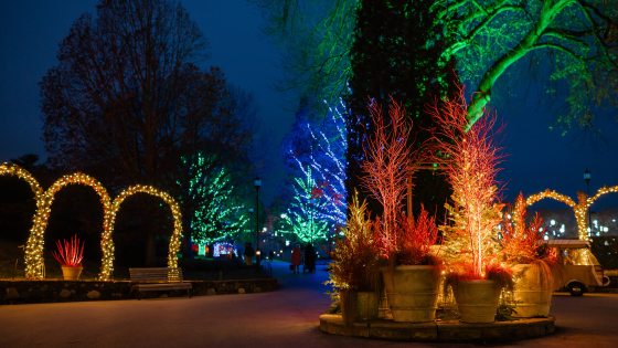 Arches of lights and glowing trees are the backdrop to an outdoor arrangement of fiery branches in containers.