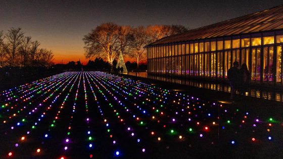 Nighttime view of a vast lawn covered in a pattern of parallel rows of glowing multi-colored lights (red, blue, green, purple) extending toward a brightly lit glass conservatory building.