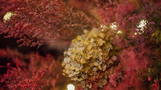 A close up of dried floral material in oranges, beiges, and reds.