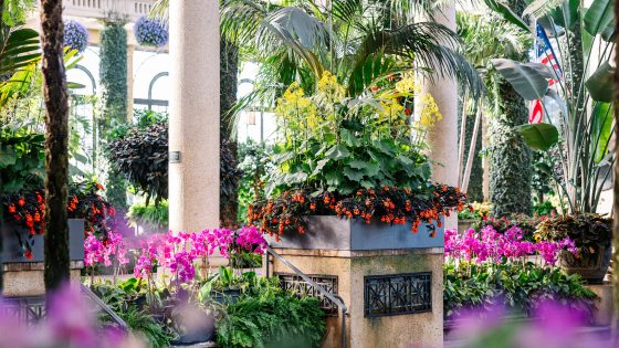 Conservatory garden with pink and red flowers in foreground, with view of columns, greenery, arched windows, and hanging baskets in background.