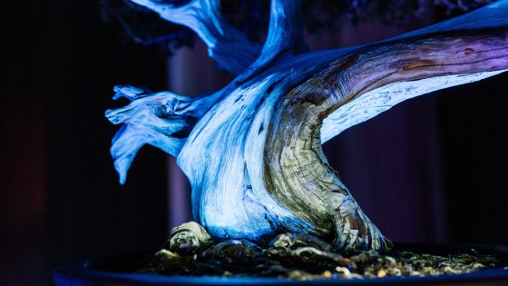 An extreme close-up of a bonsai trunk under UV light. The light reveals the intricate textures, grain, and cracks in the wood, making the trunk appear like a glowing, sculptural landscape of neon blue and violet.