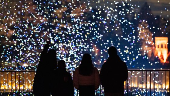A wide, cinematic shot of the family of four silhouetted against a sprawling landscape of multicolored light orbs (white, blue, and purple). In the background, the architectural glow of a garden structure is visible, while the foreground is dominated by the dark railing and the family's silhouettes as they gaze at the immersive display.