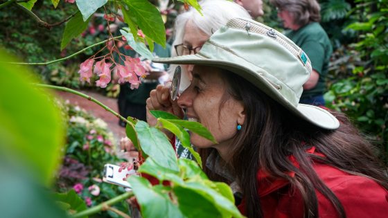 A close-up shot of a woman wearing a wide-brimmed hat using a magnifying glass to examine a cluster of pink flowers on a plant, with other people partially visible in the background.