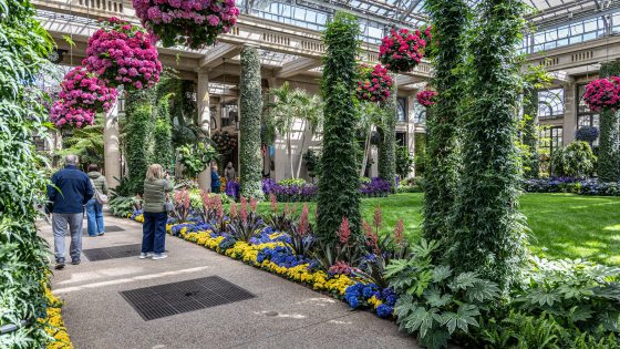 Guests stroll an indoor garden walkway amid vine-covered columns, green lawn, colorful flower beds, and hanging baskets of pink blossoms.