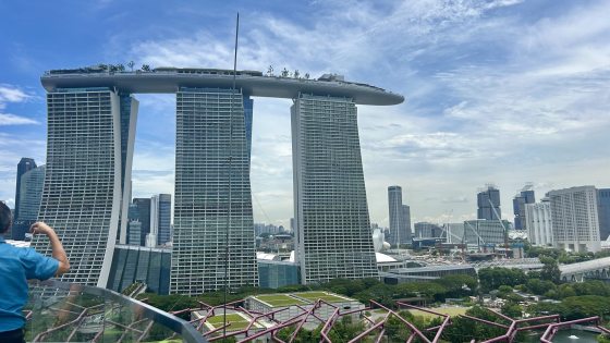 A wide view taken from the top of the Supertree Grove in Singapore, looking out toward the iconic Marina Bay Sands hotel. The three skyscrapers with their connecting surfboard-shaped rooftop garden dominate the skyline, set against a bright, hazy blue sky with light clouds. In the foreground, the purple structural ribs of a Supertree and solar panels are visible.