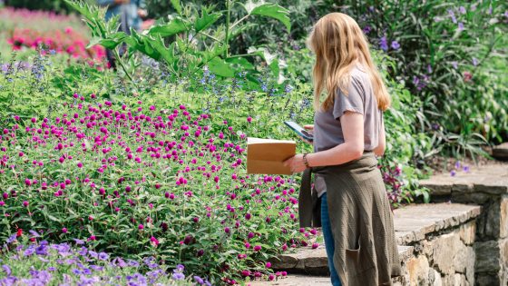 A person stands holding a notebook and a smartphone by a stone wall bordering a flower garden.