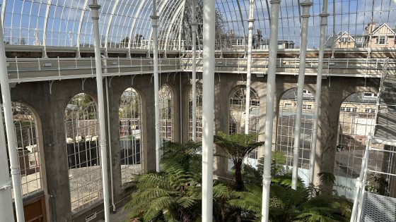 A high-angle view looking down into a large glass conservatory from an upper metal catwalk. The architecture features a soaring white grid-patterned glass roof and tall concrete walls lined with massive arched windows. Lush green tree ferns and palms grow thickly across the ground level below.