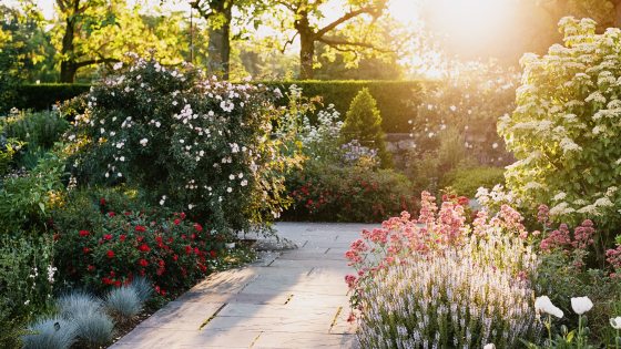 A sunlit view of a stone-tiled garden path bordered by blooms and foliage of varying colors, heights, and textures.