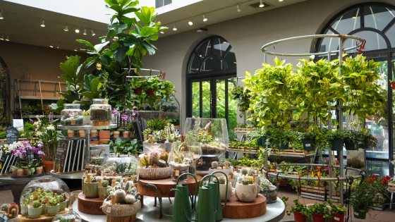 A wide, bright view inside a garden shop featuring a central display table covered with various succulents, cacti, and glass terrariums, surrounded by hanging plants, orchids, and shelves of ceramic pots.