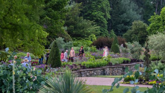 Guests walk a gently sloping garden path sided by a stepped stone wall, with a mix of massive evergreen and deciduous trees in the background.