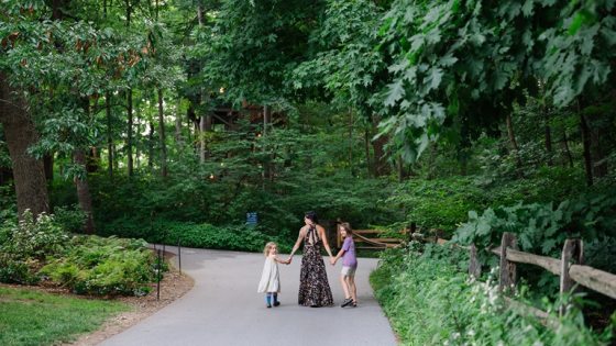 A person hold the hands of two children, walking on a paved path, into a wooded area. 