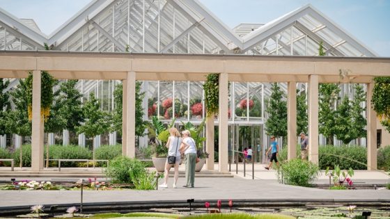 The waterlily courtyard at Longwood Gardens, in summer time. 