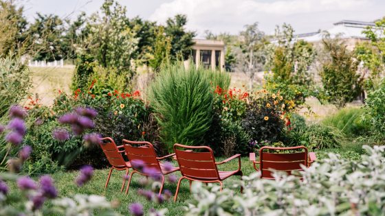 Colorful outdoor garden with four inviting chairs, and conservatory in background.