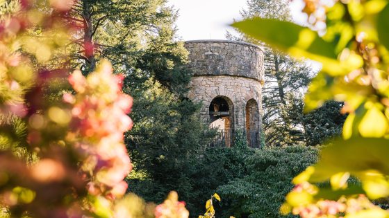 Closeup of top of Chimes Tower amid light-drenched foliage and autumn blooms.
