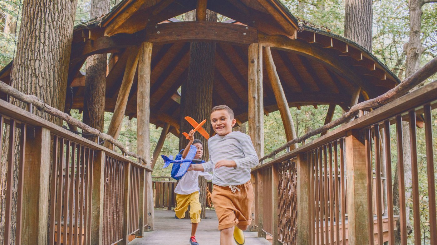 Forest Walk Longwood Gardens