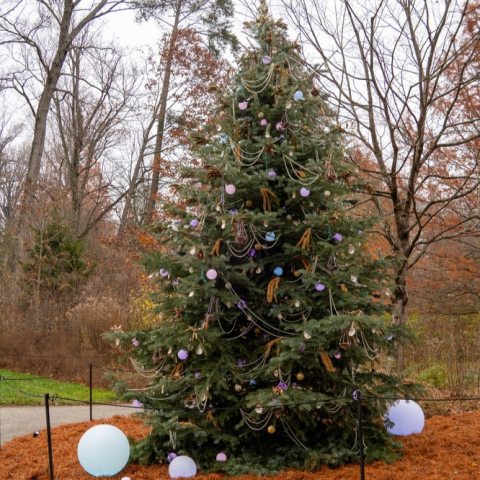 Handcrafted ornaments that double as a winter feast for our resident wildlife adorn the tree, with an Under-the-Sea pearly theme! 