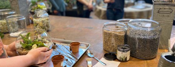 hands reach for a terrarium on a desk filled with jars
