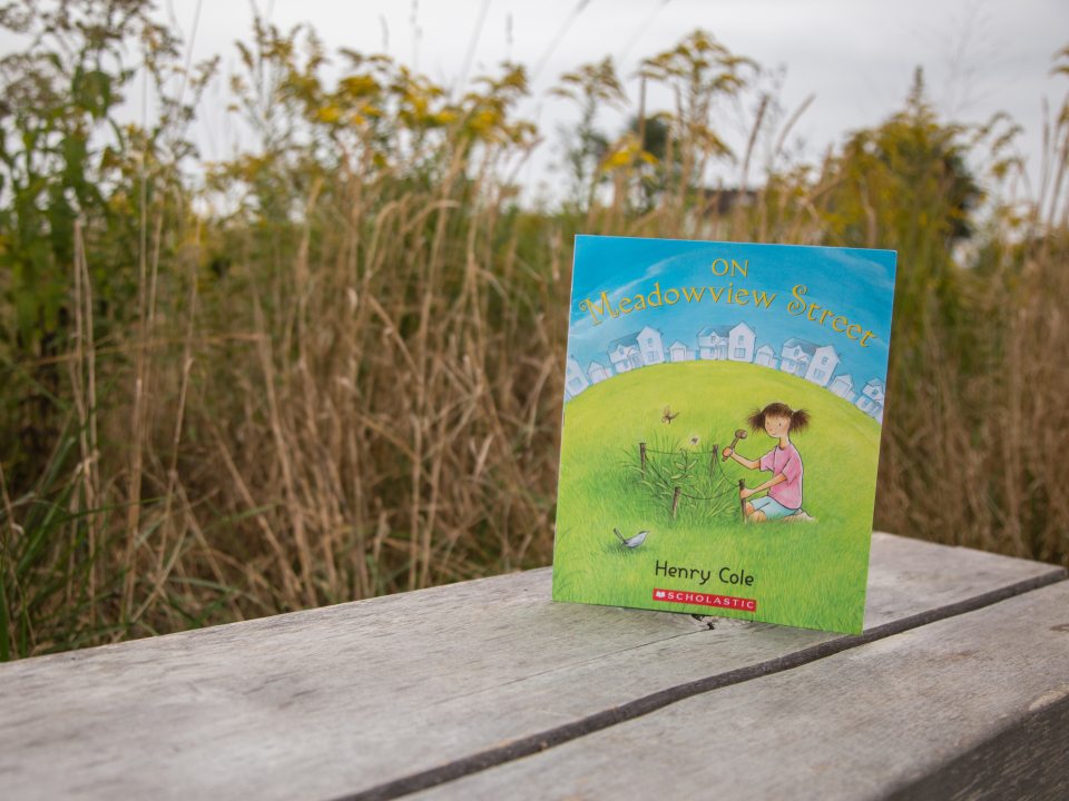 a book on a brown bench with tall grasses in the background 