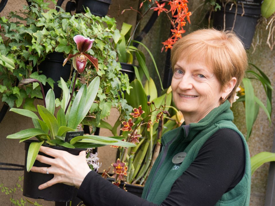 a person holding an orchid 