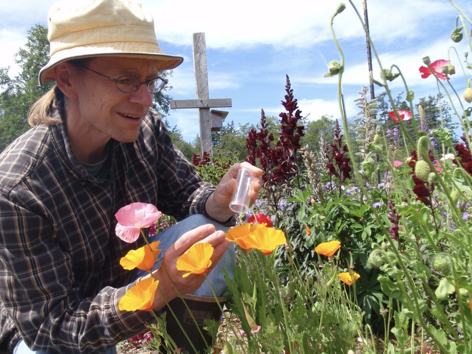 image of person leaning over a flower in a field of plants
