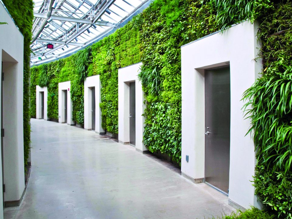 a wall filled with green ferns with white door ways 