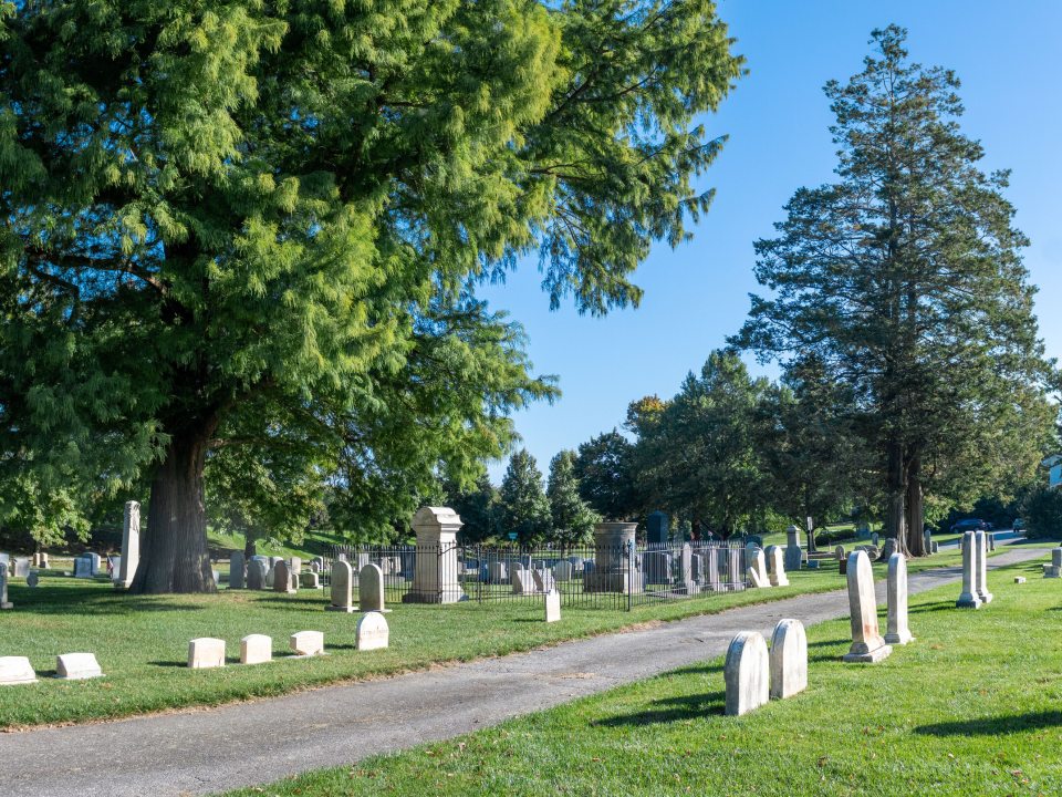 a cemetary with bright green grass, blue skies, and two large trees