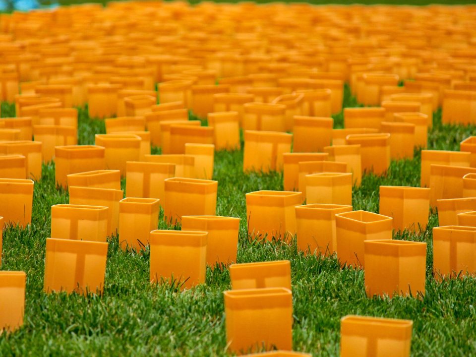 A lawn with dozens of luminaries on the ground.