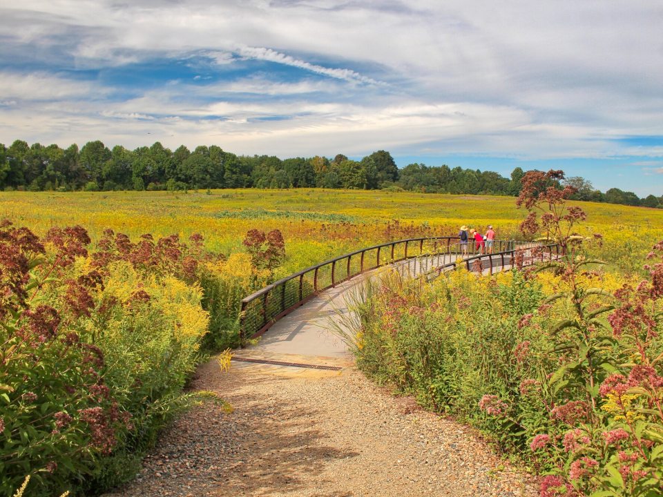 A view of the Meadow Garden path in late summer at Longwood Gardens.